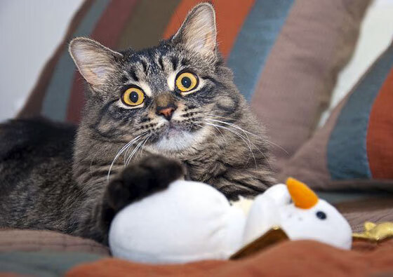 九游官网入口充值-“简阳文体中心篮球赛：技术与力量的完美碰撞”