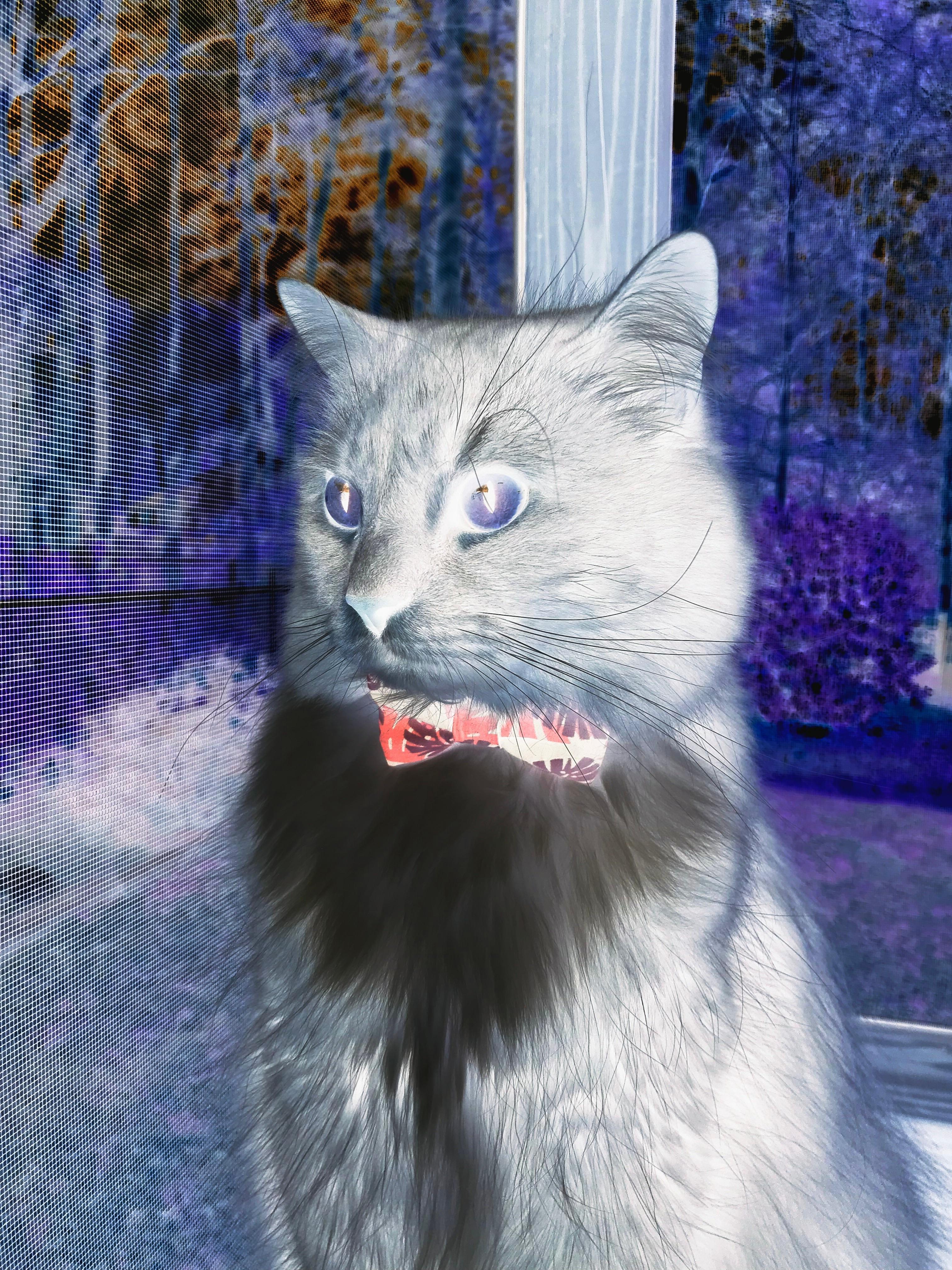 “简阳文体中心篮球赛：技术与力量的完美碰撞”