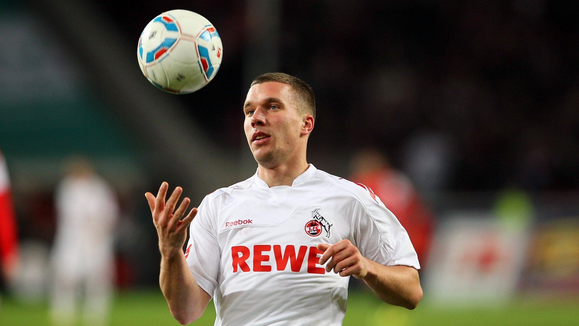 年轻阵容初露锋芒，自由泳组最具潜力，自由泳最帅