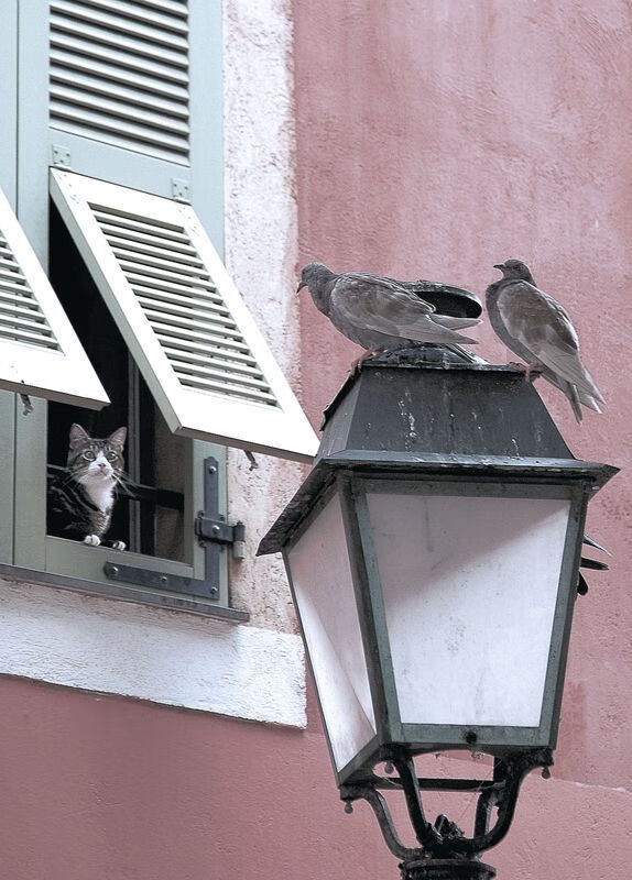 九游娱乐网站-球员在无球状态下的移动效率排名，无球可踢的球员