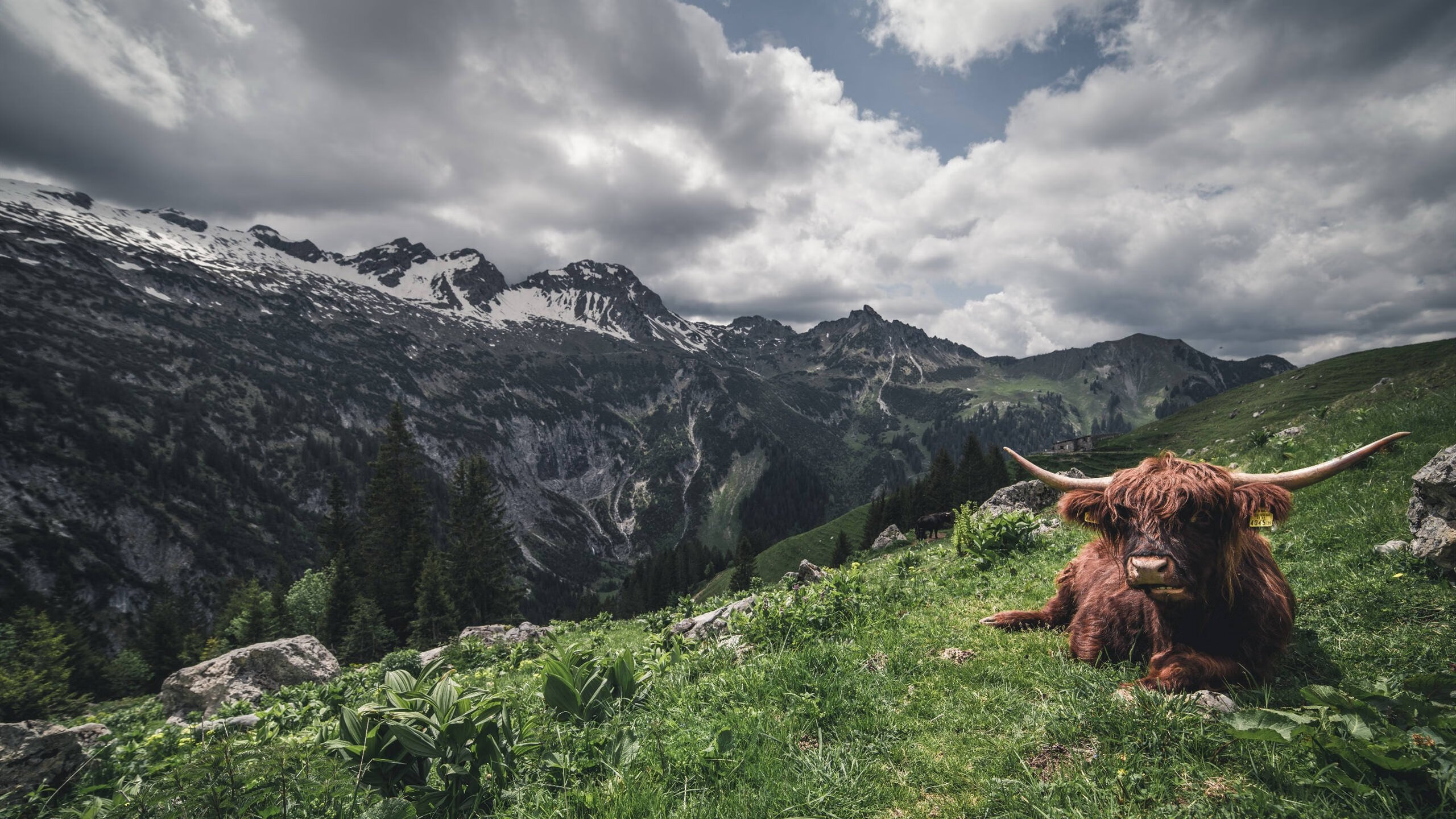九游体育下载-配速调整对蝶泳成绩的影响，配速调整对蝶泳成绩的影响有哪些
