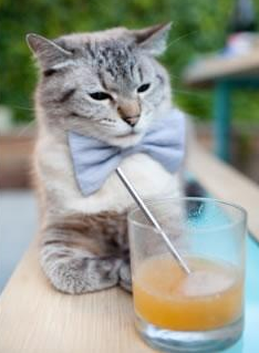 九游娱乐平台-Popovici蝉联男子200 m自由泳金牌