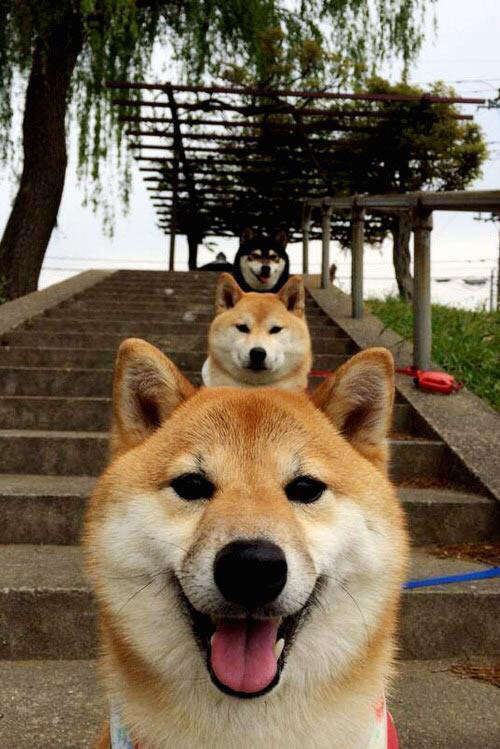 九游体育下载-体育新闻中心关键战役解读，体育新闻 新闻