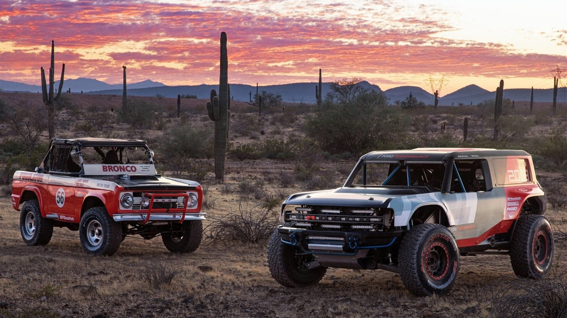 南非羚羊队防守担当:皮特·斯图斯无愧为世界最佳后排,南非羚羊皮可以干嘛用