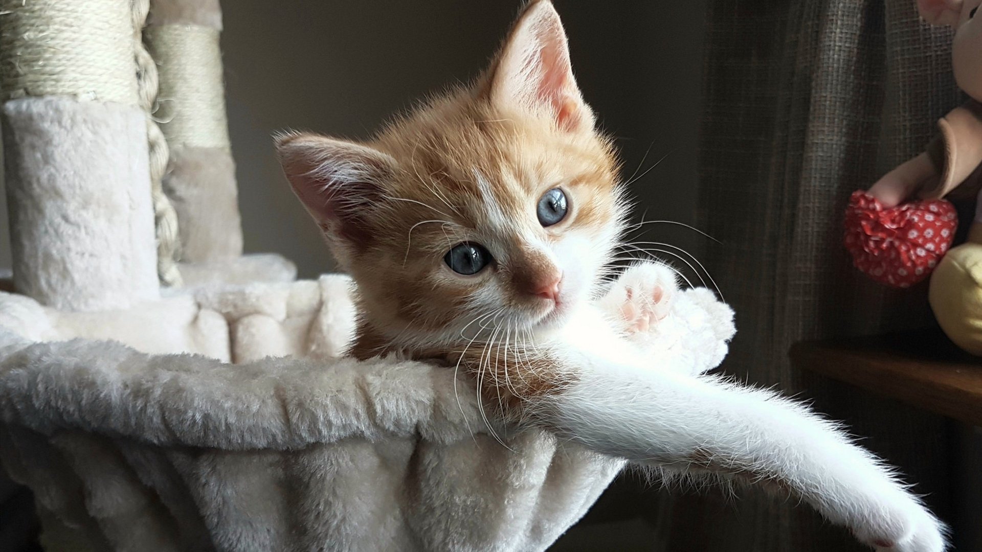 九游体育官网入口-奇才首发五人得分上双全队发挥均衡，奇才5连败